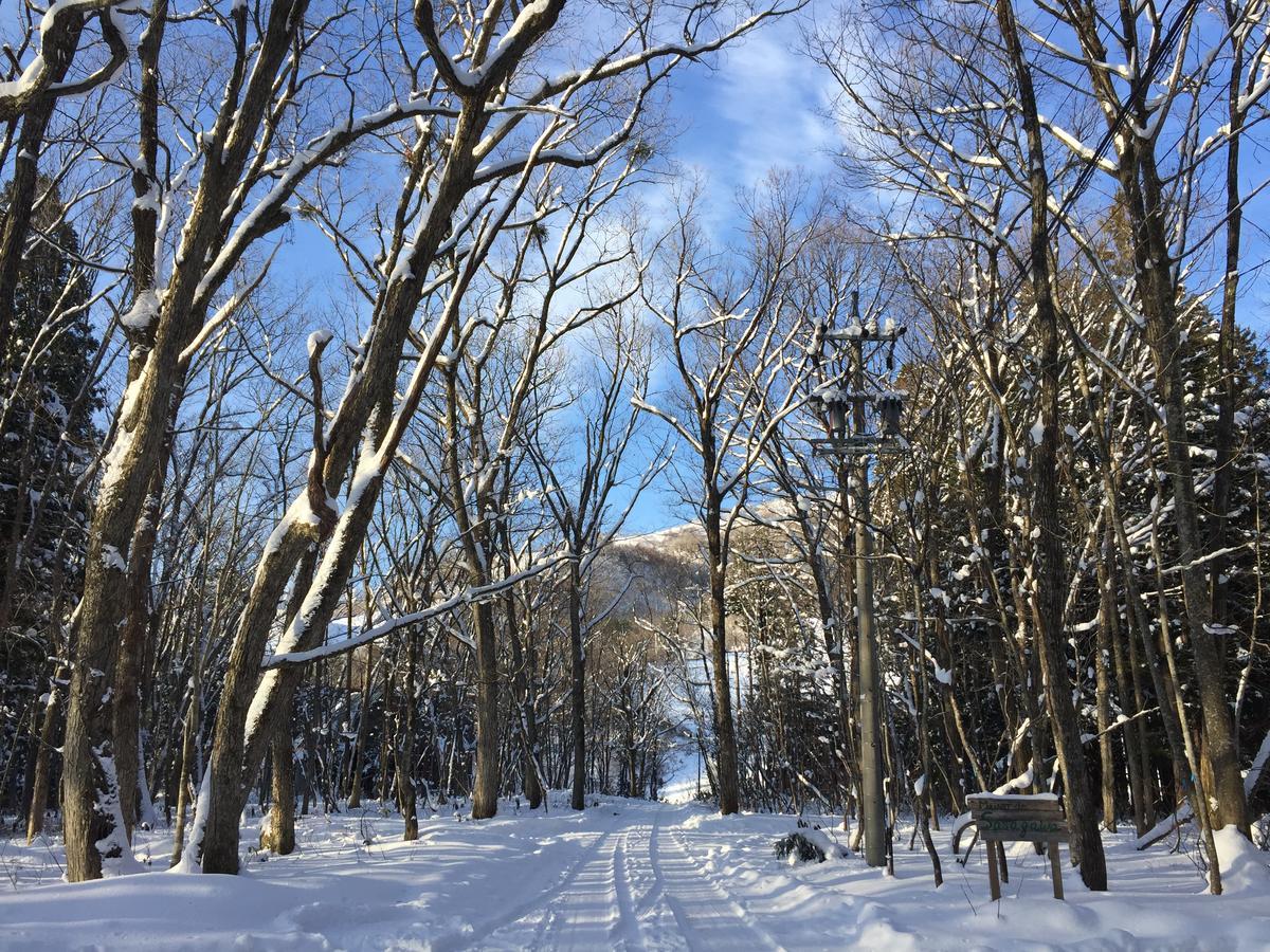 Maison De Sasagawa Hakuba Kültér fotó